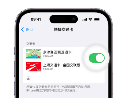 井陉apple维修点分享iPhone上更换Apple Pay快捷交通卡手绘卡面 