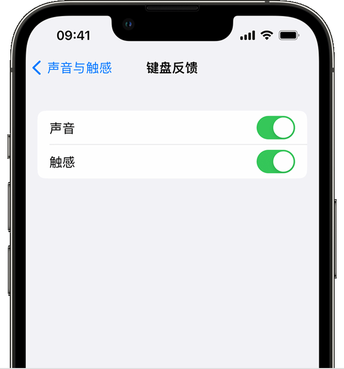 井陉苹果14维修店分享如何在 iPhone 14 机型中使用触感键盘 