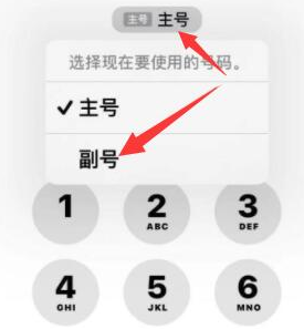 井陉苹果14维修店分享iPhone 14 Pro Max使用副卡打电话的方法 