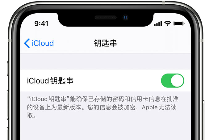 井陉苹果手机维修分享在 iPhone 上开启 iCloud 钥匙串之后会储存哪些信息 