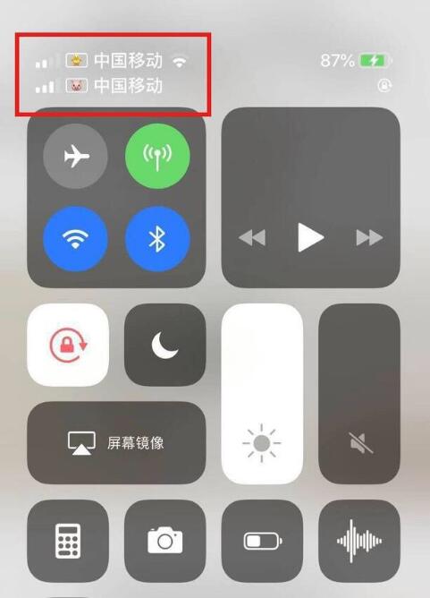 井陉苹果手机维修分享为 iPhone 12 双卡设置标签 